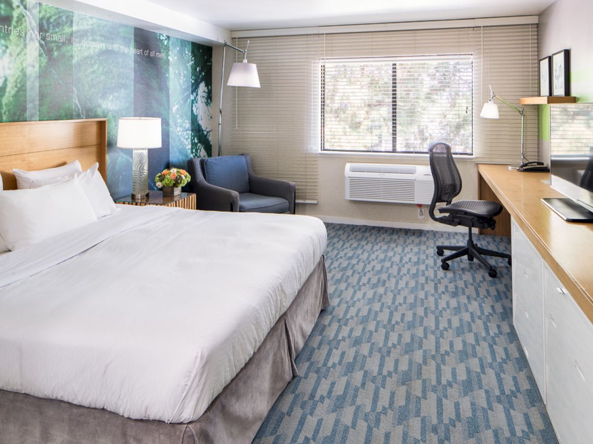domainhotelsv